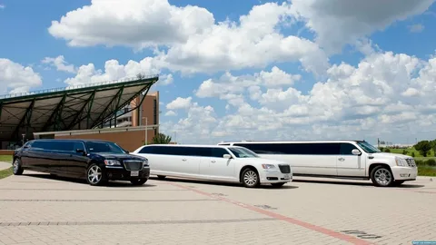 Limo insurance