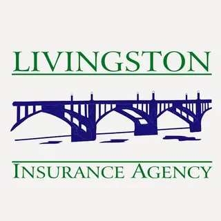 Livingston insurance